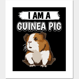 I Am A Guinea Pig Posters and Art